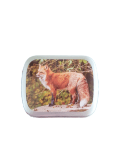 Pepermunt blikje vos