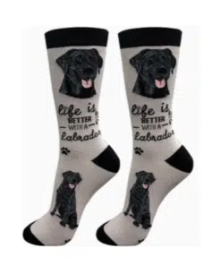Sokken met labrador
